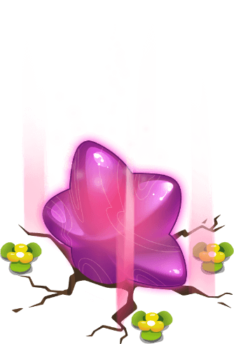 Seed
